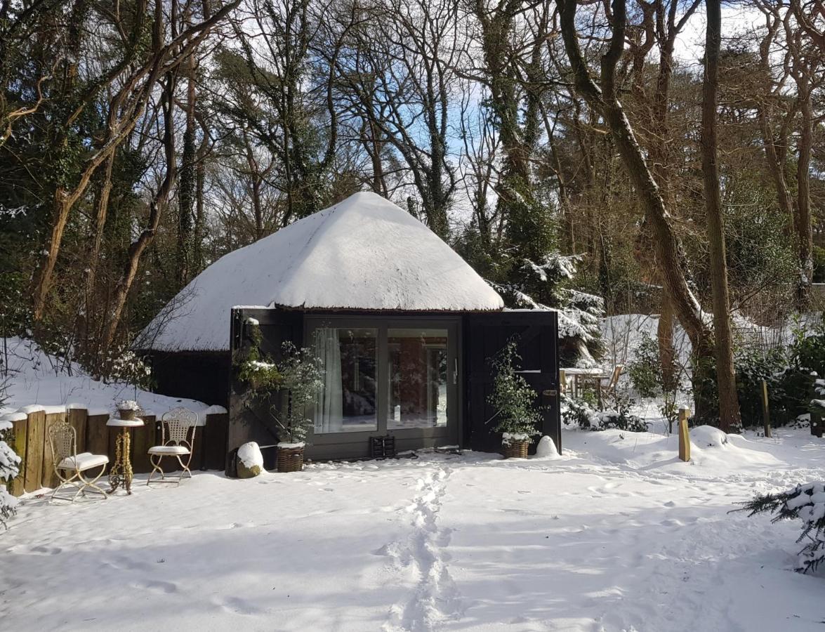 Aa Casia Vakantiehuis Zeegse Exterior foto